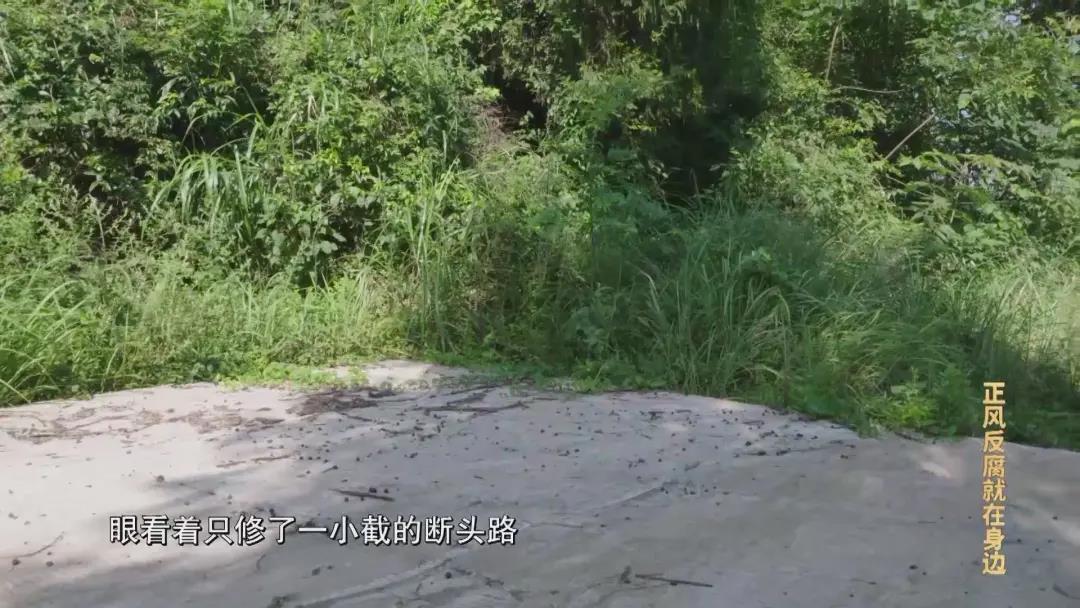 CA88(中国集团)官方网站